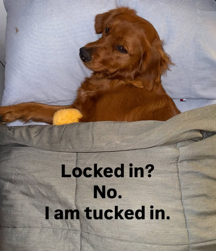 Locked in? No. I am tucked in.