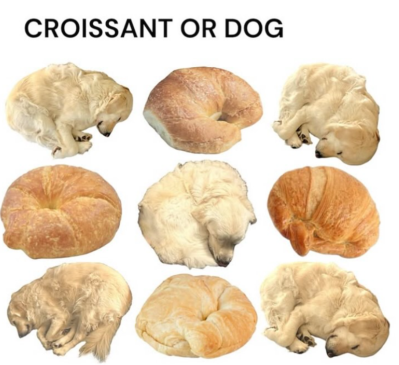 CROISSANT OR DOG