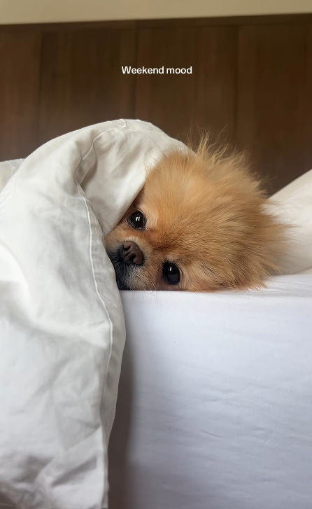 Weekend mood