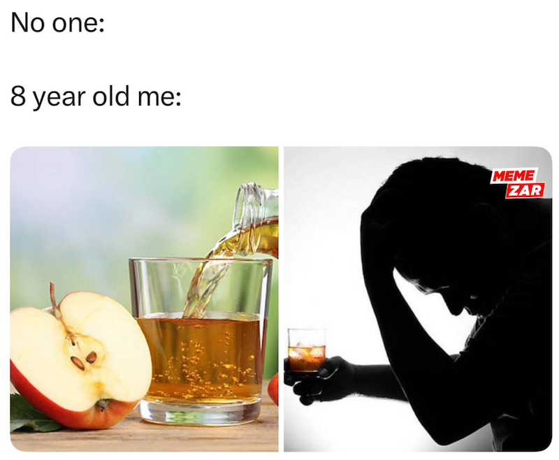 No one: 8 year old me: MEME ZAR