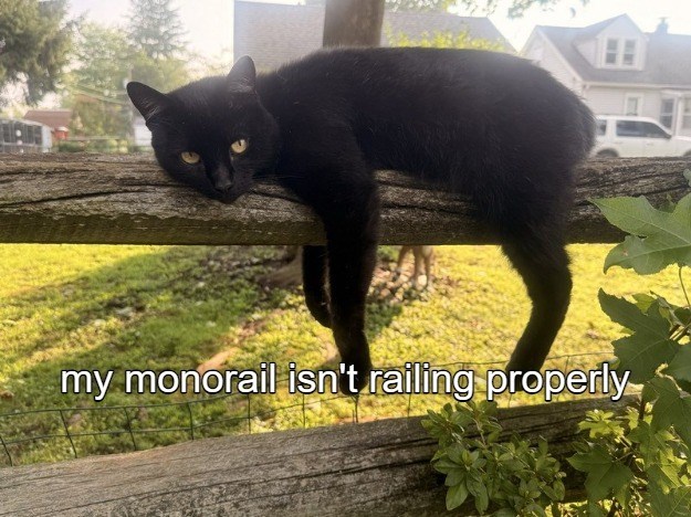 my monorail isn't railing properly