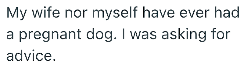 My wife nor myself have ever had a pregnant dog. I was asking for advice.