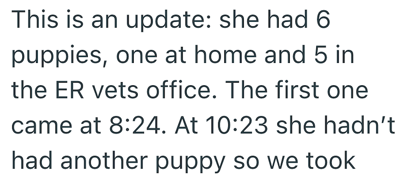 This is an update: she had 6 puppies, one at home and 5 in the ER vets office. The first one came at 8:24. At 10:23 she hadn't had another puppy so we took