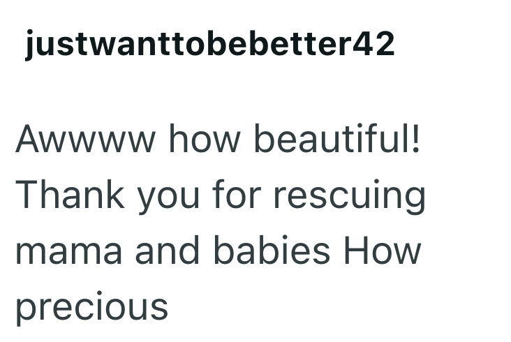 justwanttobebetter42 Awwww how beautiful! Thank you for rescuing mama and babies How precious