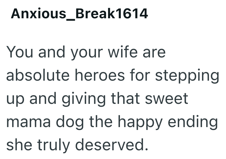 Anxious_Break1614 You and your wife are absolute heroes for stepping up and giving that sweet mama dog the happy ending she truly deserved.