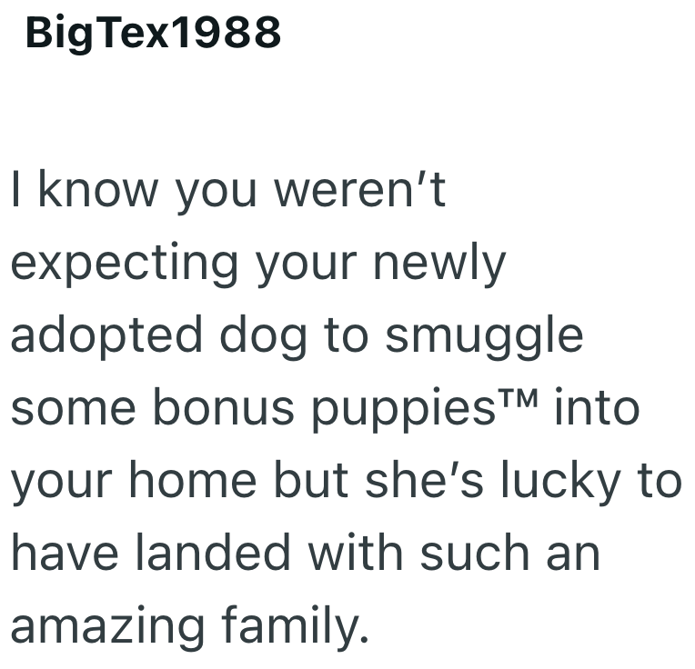 Big Tex1988 I know you weren't expecting your newly adopted dog to smuggle some bonus puppies™ into your home but she's lucky to have landed with such an amazing family.