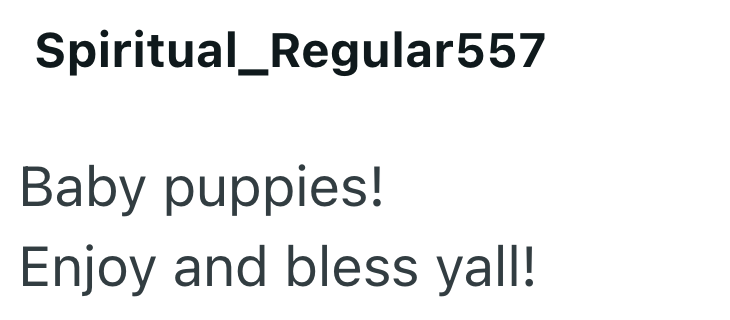 Spiritual Regular557 Baby puppies! Enjoy and bless yall!