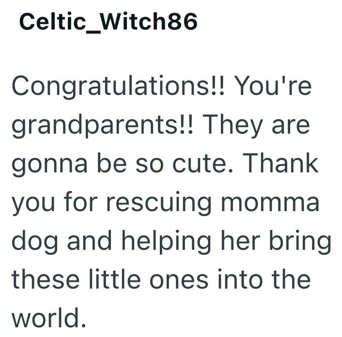 Celtic Witch86 Congratulations!! You're grandparents!! They are gonna be so cute. Thank you for rescuing momma dog and helping her bring these little ones into the world.