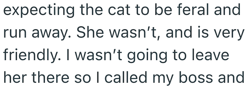 expecting the cat to be feral and run away. She wasn't, and is very friendly. I wasn't going to leave her there so I called my boss and