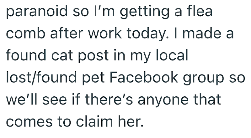 paranoid so I'm getting a flea comb after work today. I made a found cat post in my local lost/found pet Facebook group so we'll see if there's anyone that comes to claim her.