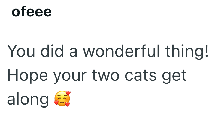 ofeee You did a wonderful thing! Hope your two cats get along
