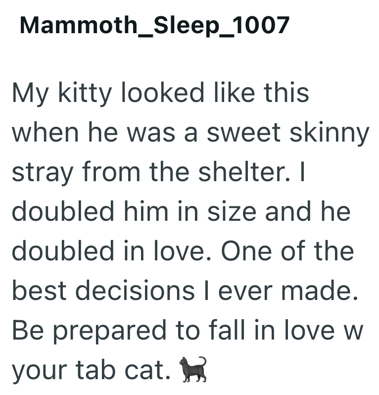 Mammoth_Sleep_1007 My kitty looked like this when he was a sweet skinny stray from the shelter. I doubled him in size and he doubled in love. One of the best decisions I ever made. Be prepared to fall in love w your tab cat. ✓