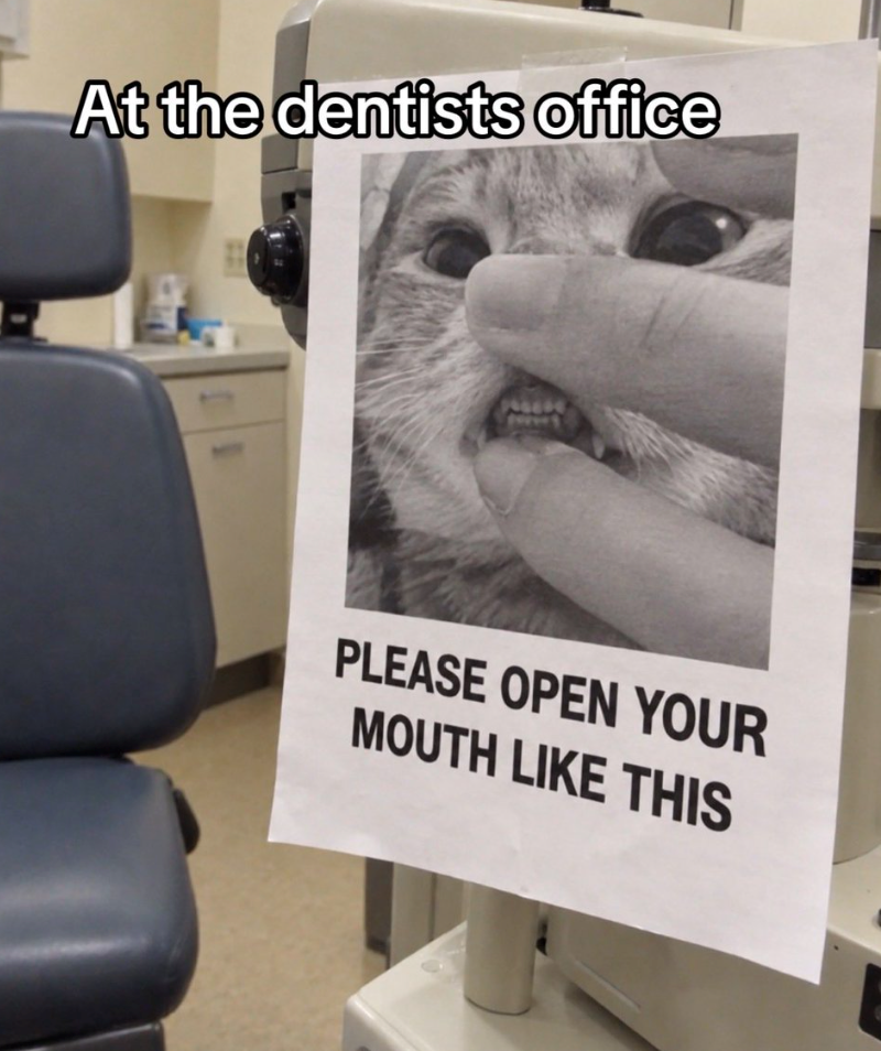 At the dentists office PLEASE OPEN YOUR MOUTH LIKE THIS