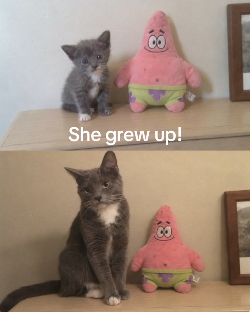 She grew up!