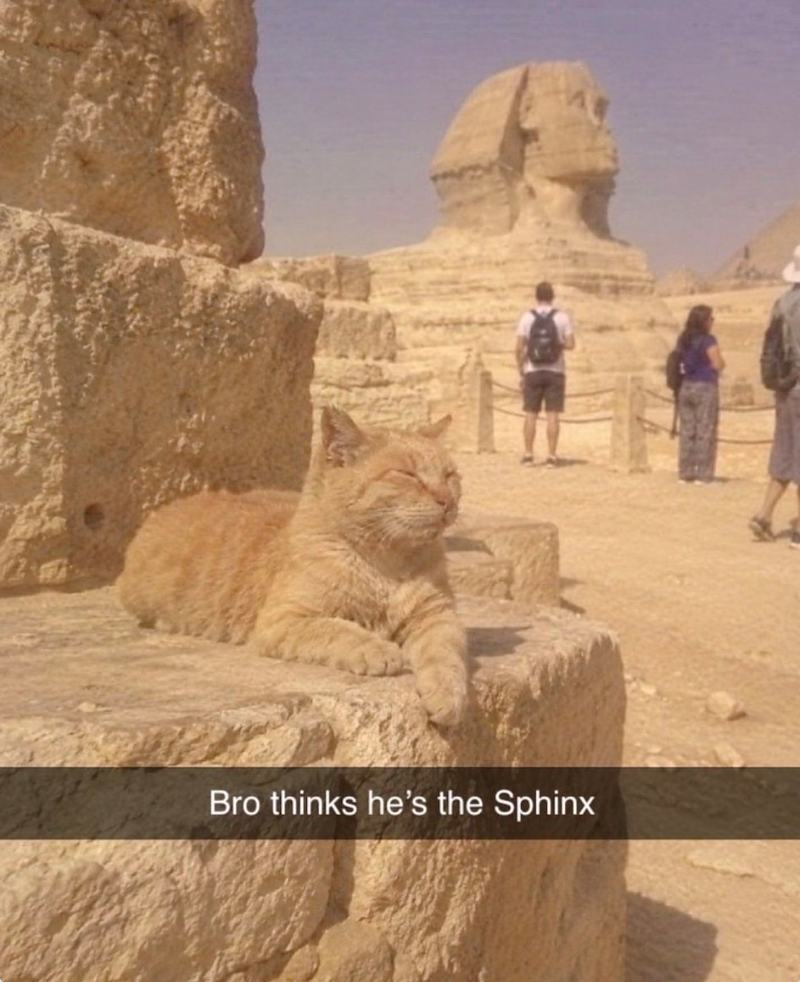 Bro thinks he's the Sphinx