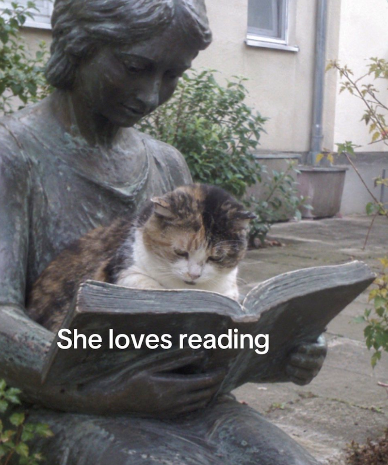 She loves reading