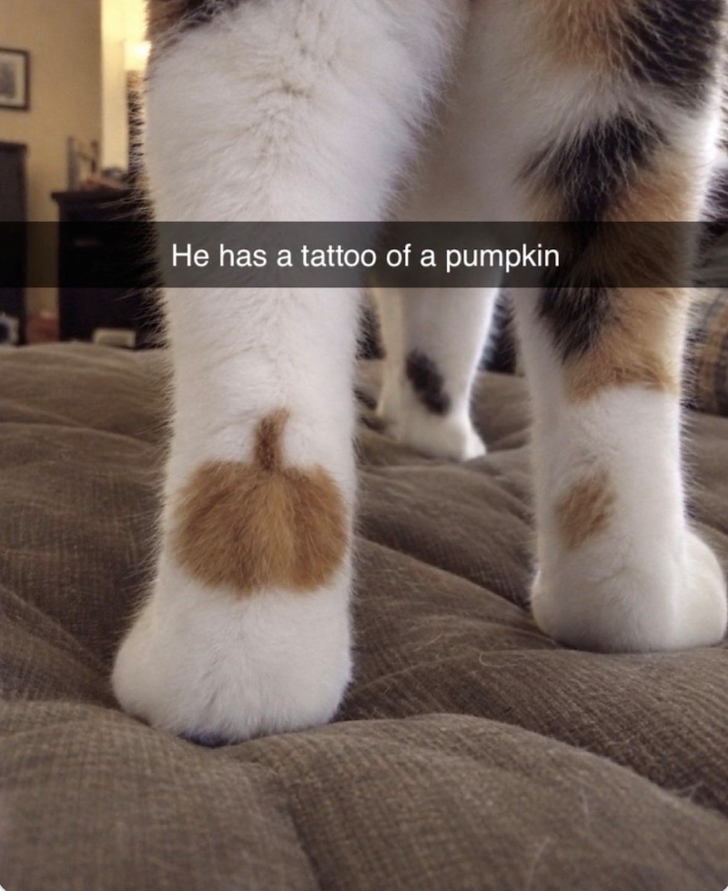נ He has a tattoo of a pumpkin