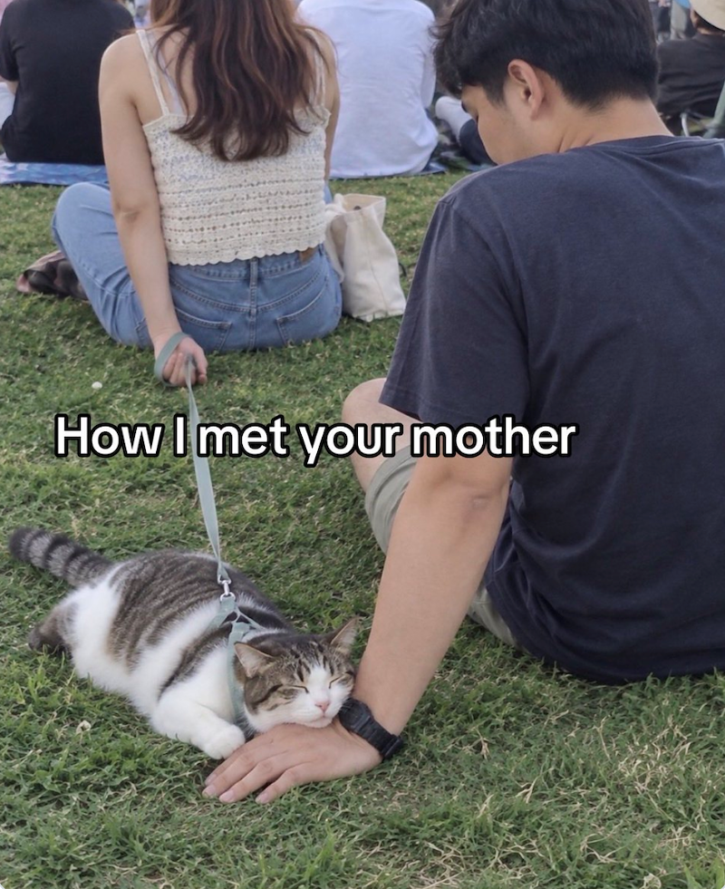 How I met your mother