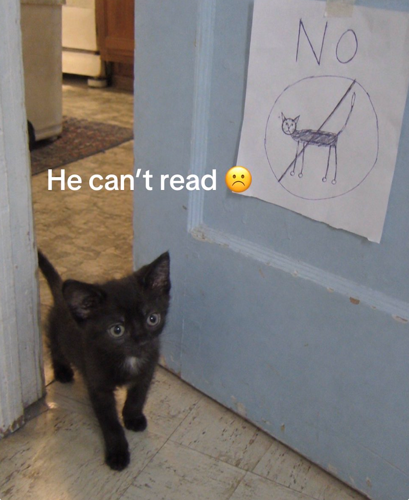 He can't read No