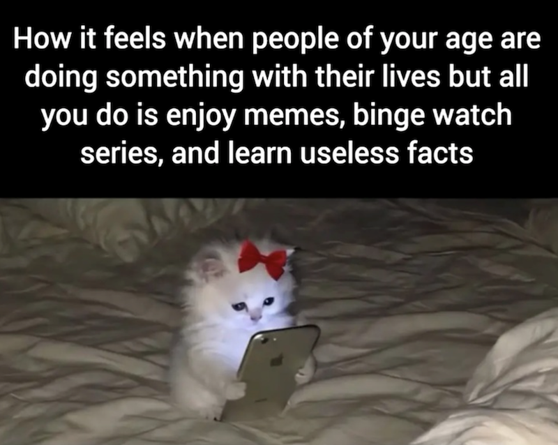 How it feels when people of your age are doing something with their lives but all you do is enjoy memes, binge watch series, and learn useless facts