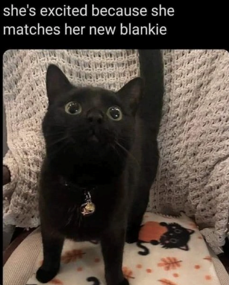 she's excited because she matches her new blankie