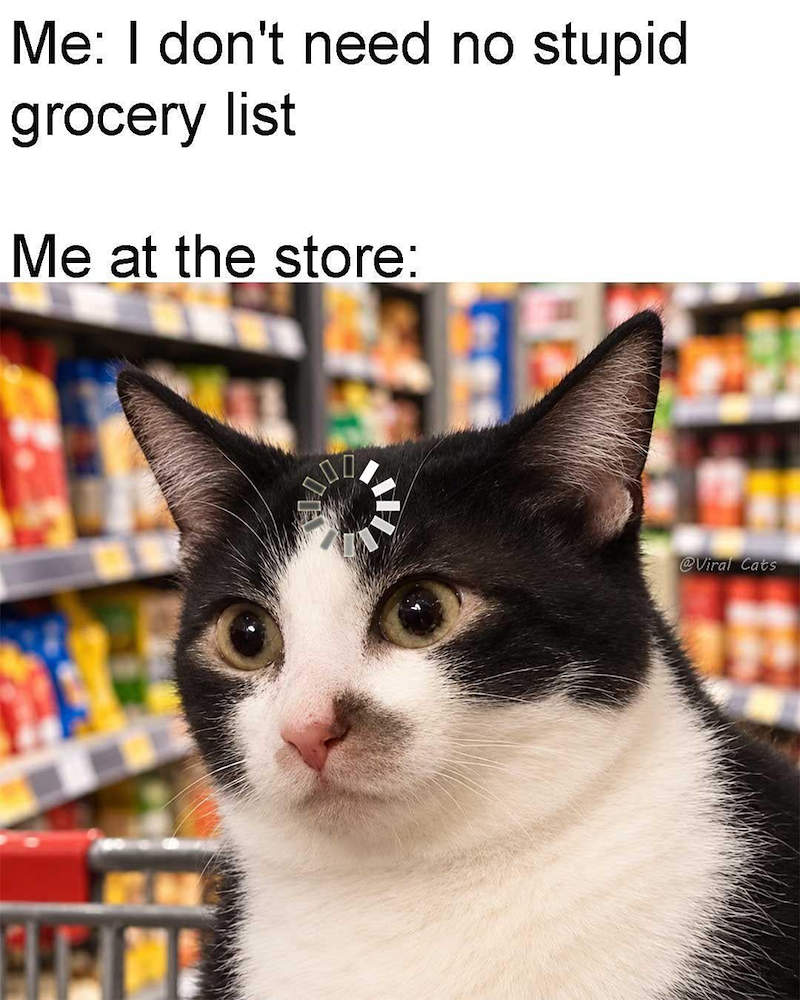 Me: I don't need no stupid grocery list Me at the store: @Viral Cats