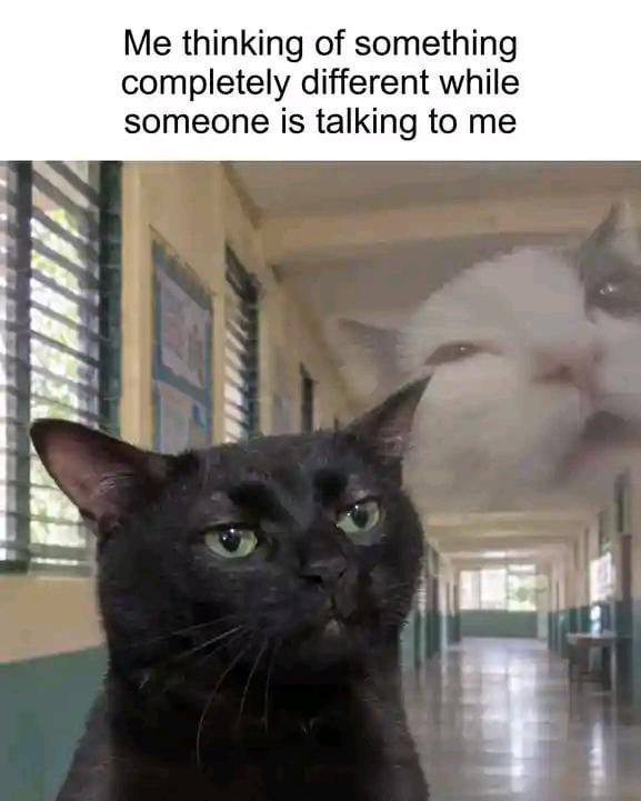 Me thinking of something completely different while someone is talking to me
