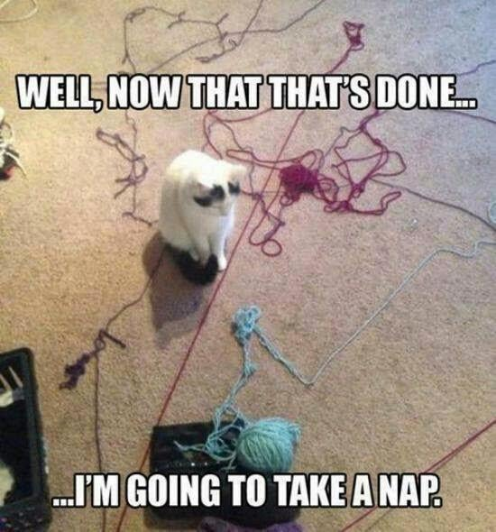 WELL, NOW THAT THAT'S DONE... ...I'M GOING TO TAKE A NAP.