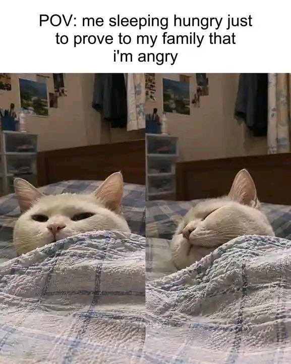 POV: me sleeping hungry just to prove to my family that i'm angry