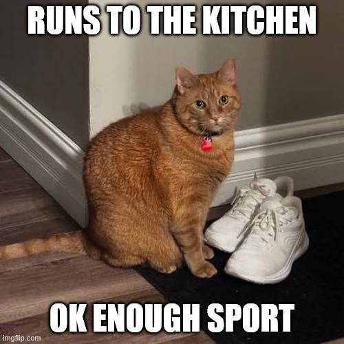 RUNS TO THE KITCHEN imgflip.com OK ENOUGH SPORT