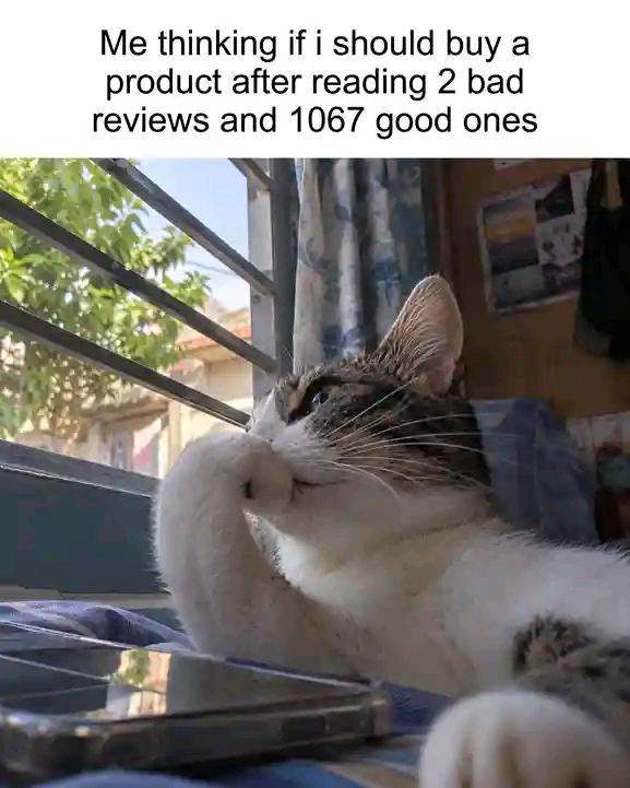 Me thinking if i should buy a product after reading 2 bad reviews and 1067 good ones