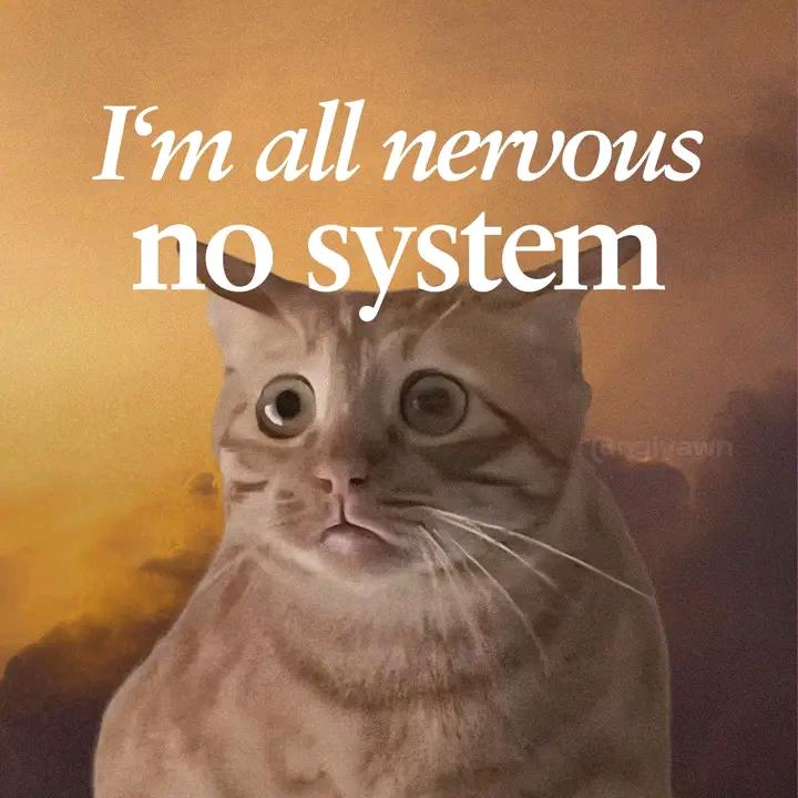 I'm all nervous no system Gogiyawn