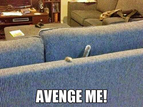 AVENGE ME!