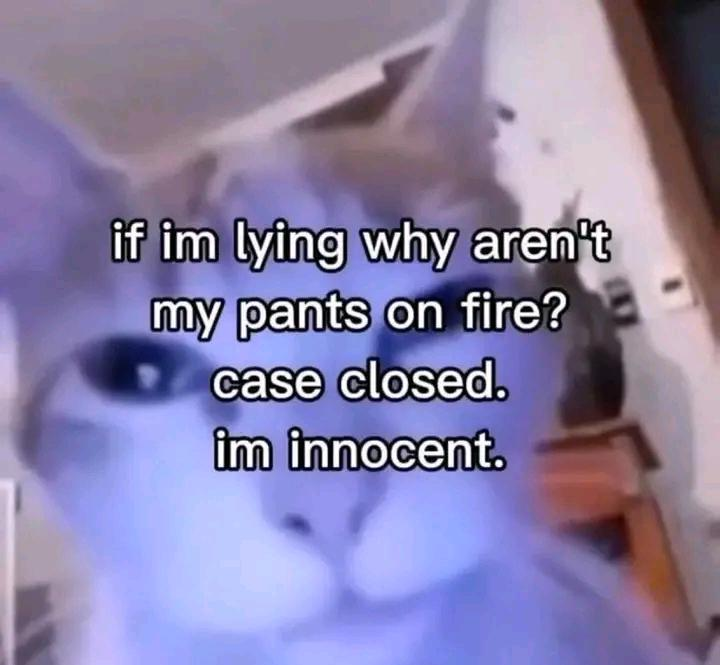 if im lying why aren't my pants on fire? case closed. im innocent.