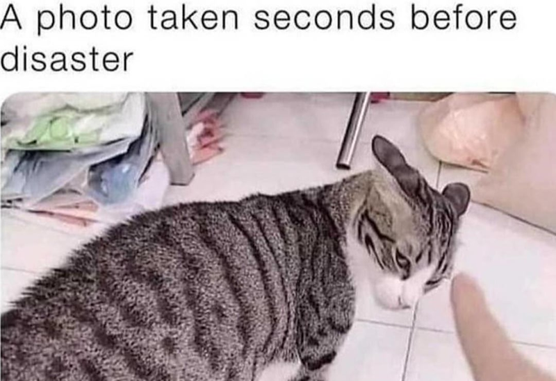 A photo taken seconds before disaster