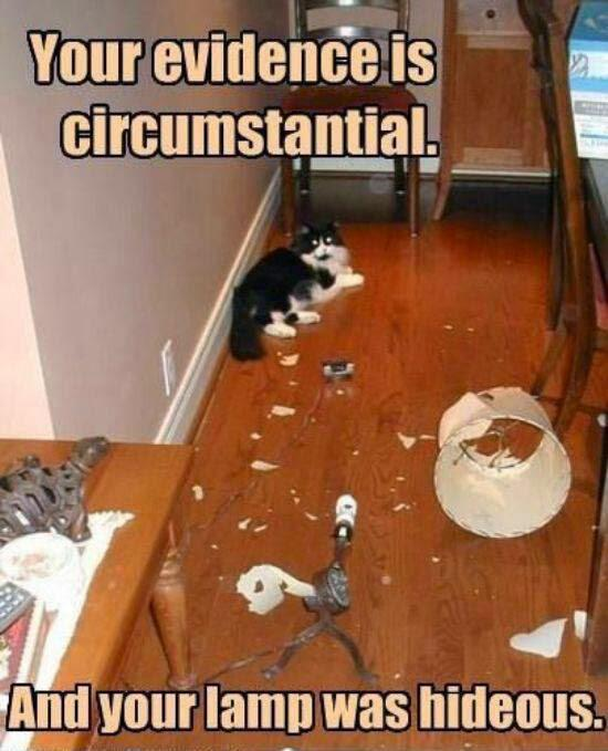 Your evidence is circumstantial. And your lamp was hideous.