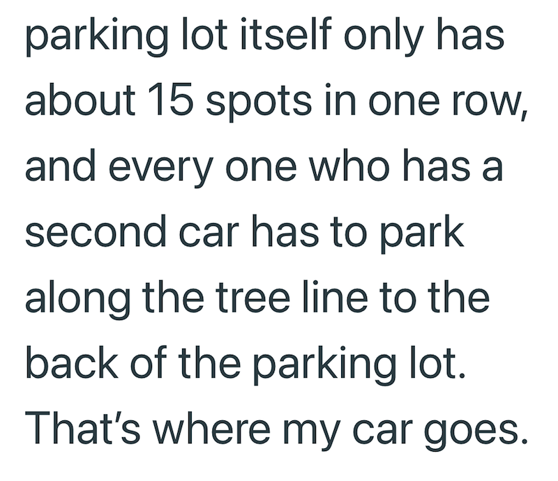 parking lot itself only has about 15 spots in one row, and every one who has a second car has to park along the tree line to the back of the parking lot. That's where my car goes.
