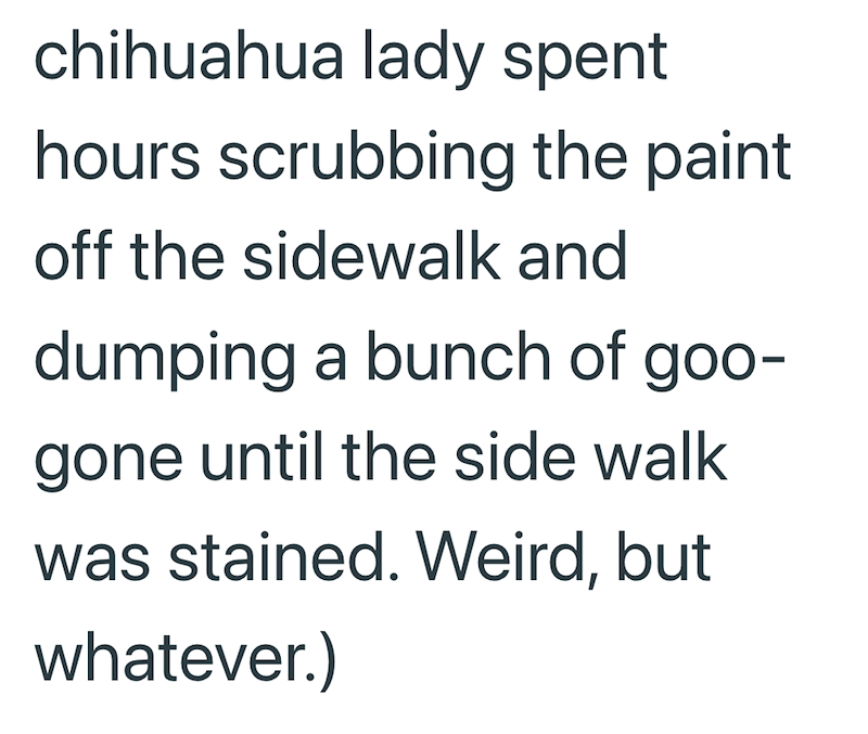 chihuahua lady spent hours scrubbing the paint off the sidewalk and dumping a bunch of goo- gone until the side walk was stained. Weird, but whatever.)