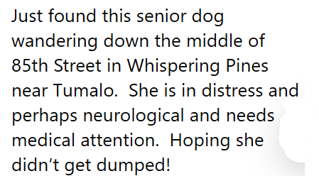 Just found this senior dog wandering down the middle of 85th Street in Whispering Pines near Tumalo. She is in distress and perhaps neurological and needs medical attention. Hoping she didn't get dumped!