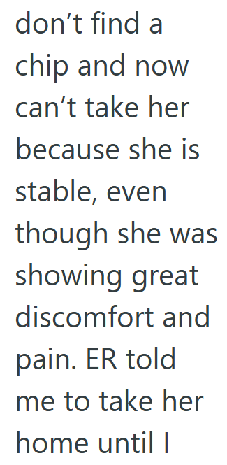 don't find a chip and now can't take her because she is stable, even though she was showing great discomfort and pain. ER told me to take her home until I