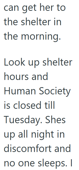 can get her to the shelter in the morning. Look up shelter hours and Human Society is closed till Tuesday. Shes up all night in discomfort and no one sleeps. I
