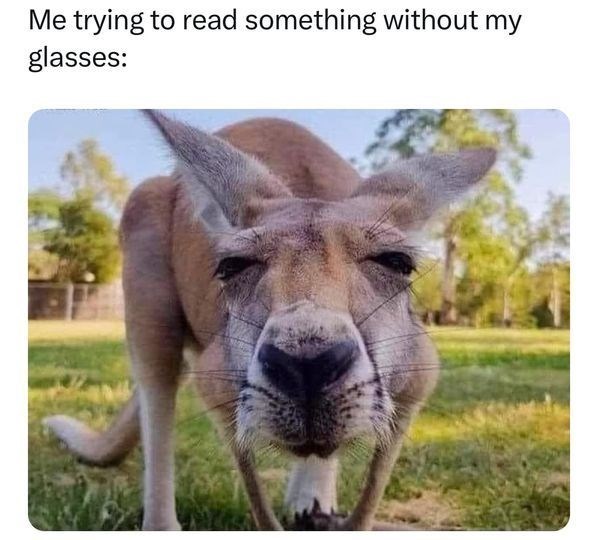 Me trying to read something without my glasses: