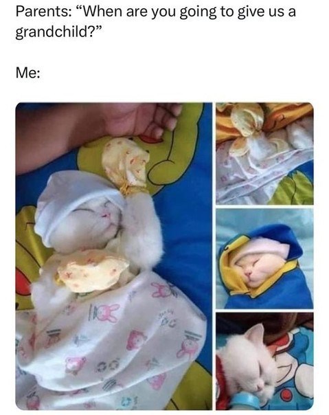 Parents: "When are you going to give us a grandchild?" Me: 00 01