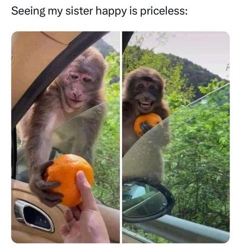 Seeing my sister happy is priceless: