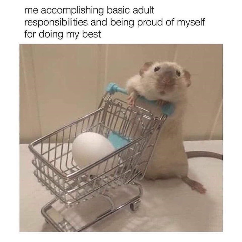 me accomplishing basic adult responsibilities and being proud of myself for doing my best