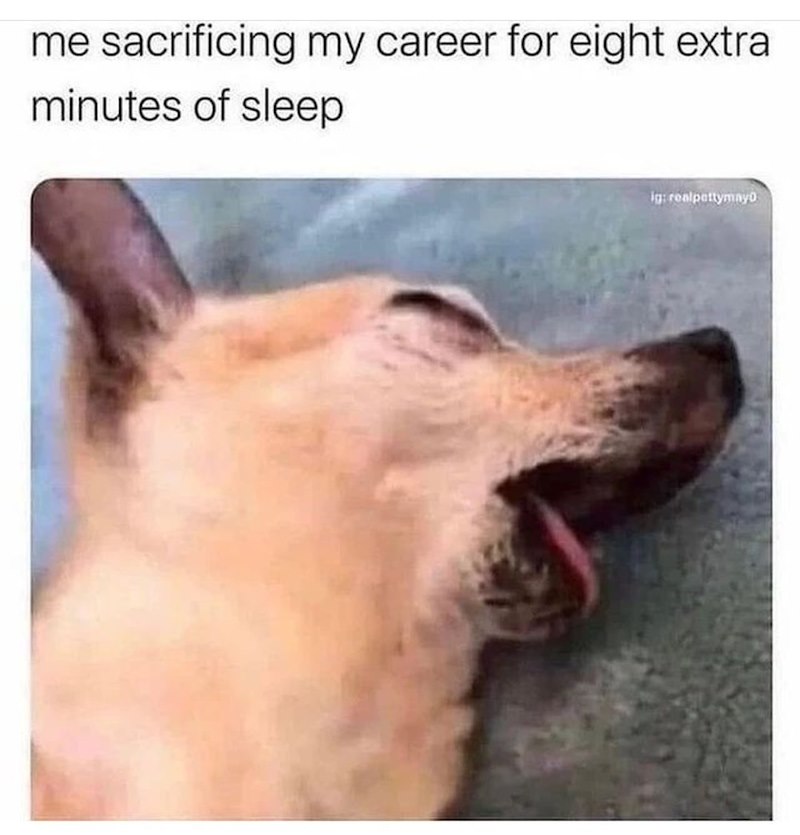 me sacrificing my career for eight extra minutes of sleep ig: realpettymayo