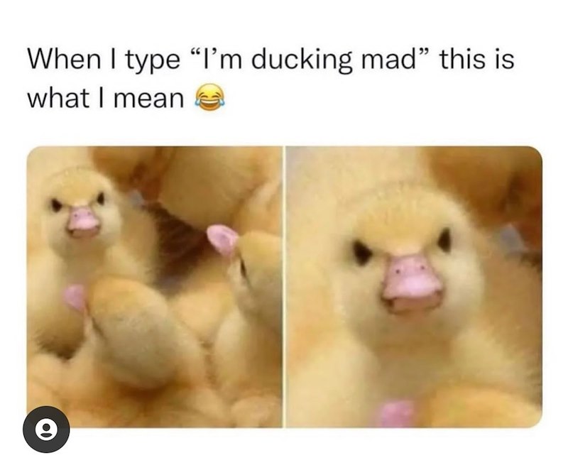 When I type "I'm ducking mad" this is what I mean e