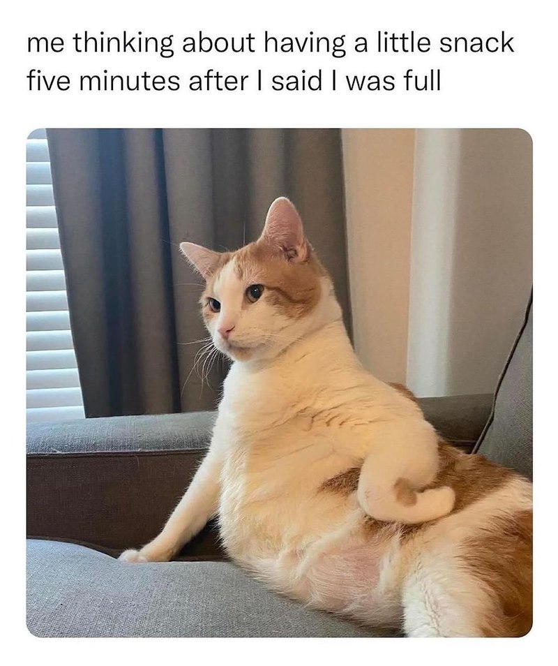 me thinking about having a little snack. five minutes after I said I was full