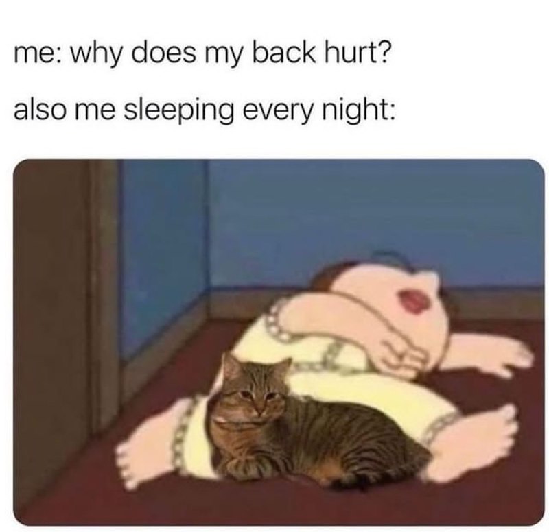 me: why does my back hurt? also me sleeping every night: