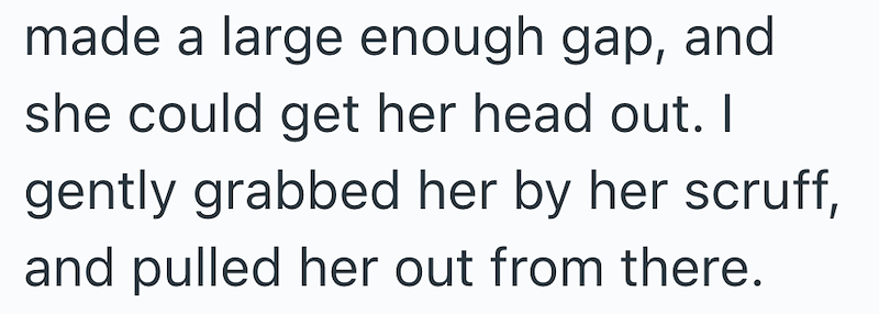 made a large enough gap, and she could get her head out. I gently grabbed her by her scruff, and pulled her out from there.